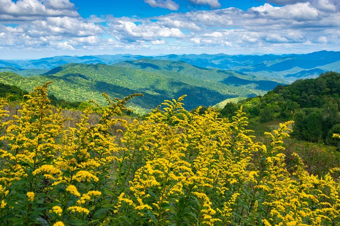 Half-Day Hike With Long Range Views From Asheville - Good To Know