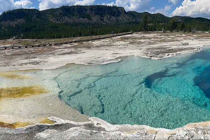 Half-Day Private Geyser Basin Tour of Yellowstone - Tour Overview