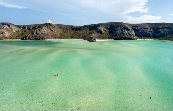 Half Day Private Tour of the Beaches of La Paz - Key Points