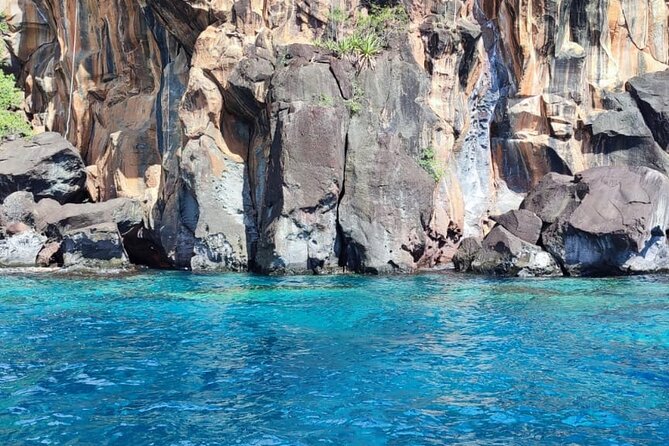 Half Day Private Tour South Martinique (Coral Beds & Turtles) - Tour Overview