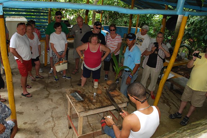 Half-Day Safari Private Tour From Punta Cana - Key Points