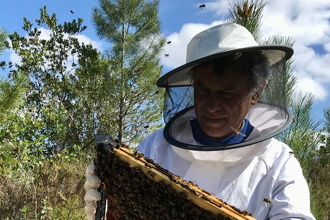 Half-Day Small-Group Beekeeper Experience With Honey Tasting