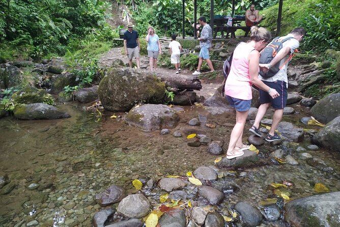Half Day Tour Anywhere in Martinique - Good To Know