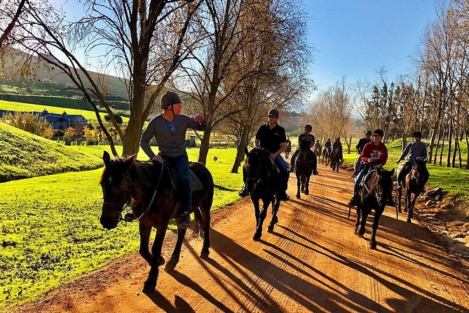 Half Day – Wine Tasting Horse Trail - Good To Know