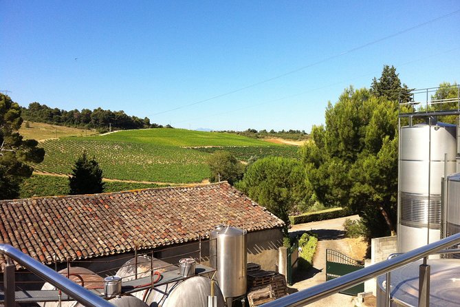 Half Day Wine Tour. Private Tour From Carcassonne and Around. - Key Points