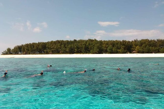 Half Day Zanzibar Mnemba Atoll Marine Reserve Snorkeling Tour - Good To Know
