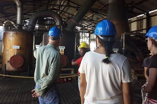 Hampden Estate Rum Tour and Lunch From Ocho Rios - Key Points