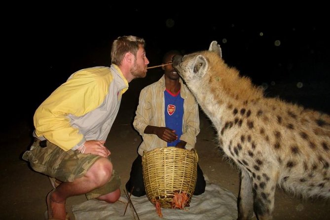 3 Best National Park Tours In Addis Ababa