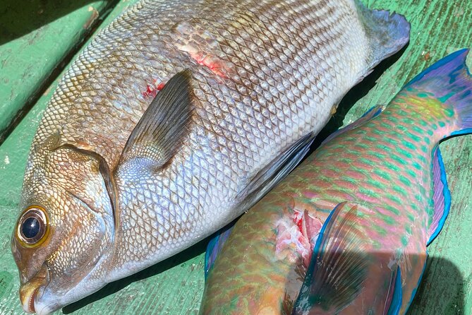 Hawaiian Reef Spear Fishing Lesson for Beginners - Overview and Expectations