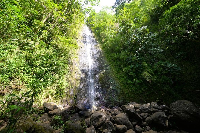 Hawaiian Waterfall Hike - Good To Know