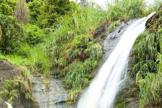 Health & Rejuvenate Tours - Key Points