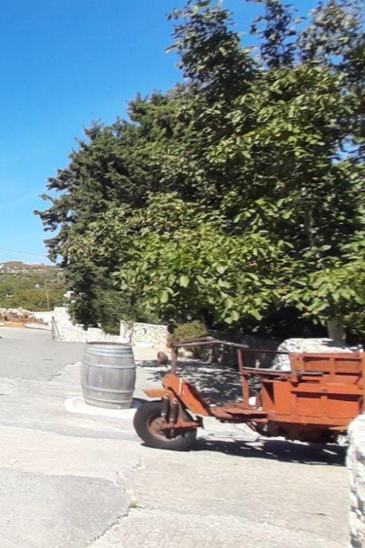 Heraklion: Olive Farm, Winery, and Raki Distillery Tour
