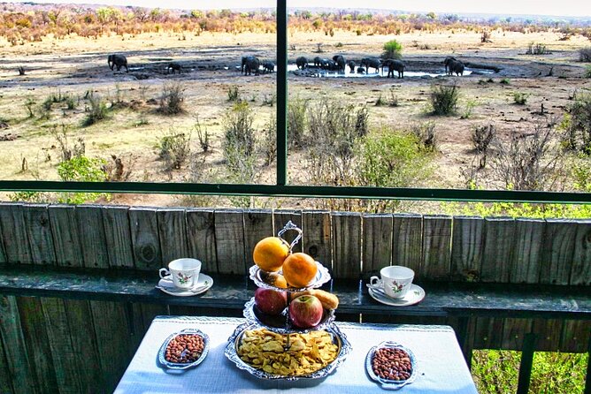 High Tea in the Savannah, Catering by Victoria Falls Hotel - Good To Know