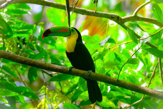 Hike Adventure in Cahuita National Park - Good To Know