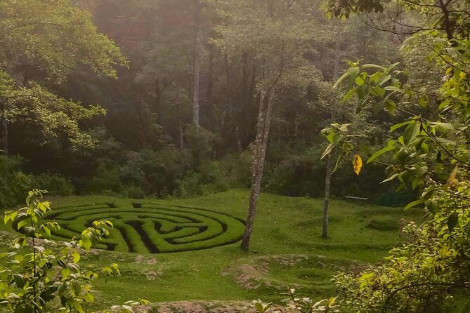 Hike in Pristine Forest, a View From Above Atitlan - Good To Know