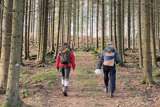 Hike With Wild Forage Surviving Tips and Local Lunch at the Lake - Key Points