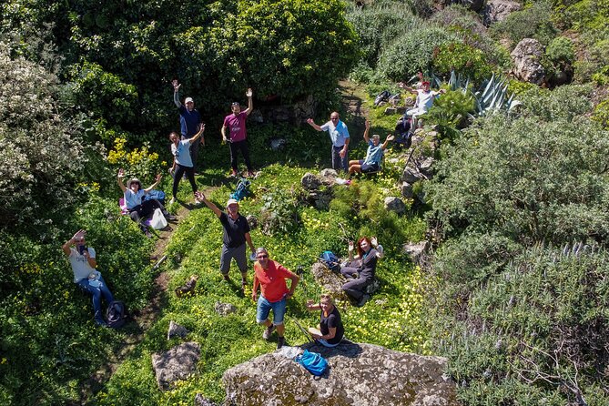 Hikes in the Green Gran Canaria - Good To Know