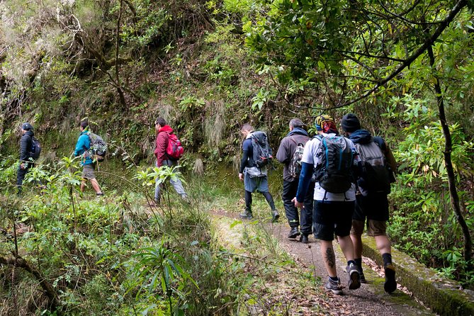 Hiking and Trekking Tours in Madeira - Good To Know