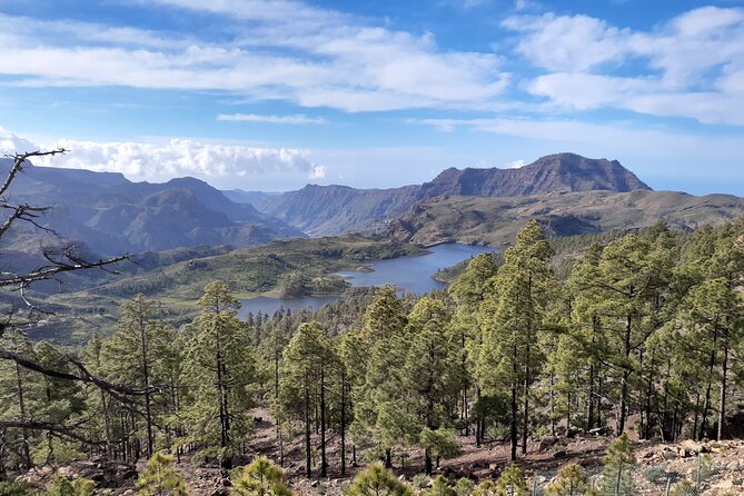 Hiking Experience in the North of Gran Canaria - Good To Know