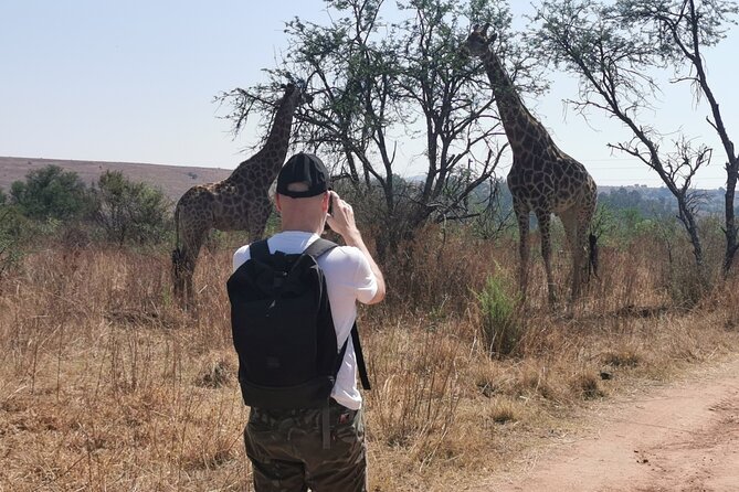Hiking in the Magaliesberg,Wildlife Hike an Hour Fromjohannesburg - Good To Know