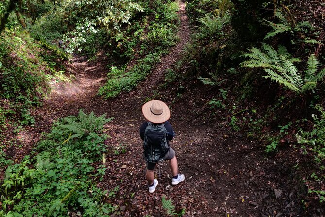 Hiking in the Sierra Norte of Oaxaca - Key Points