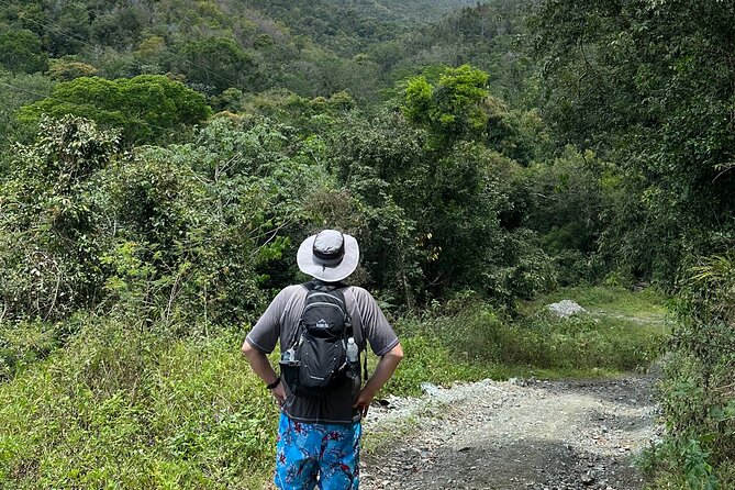 Hiking Tour and Play in Charco El Pilon - Tour Overview