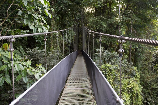 Hire Costa Rica Driver for 10-Hour (Solo Traveler) - About Your Stay