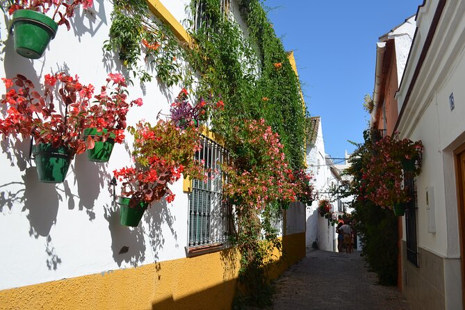Historical Walking Tour of Estepona - Good To Know