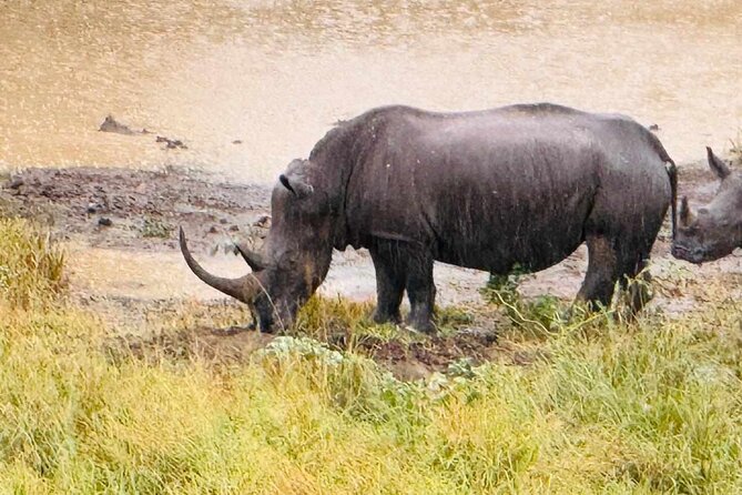 Hluhluwe Imfolozi Park Excursion - Whats Included