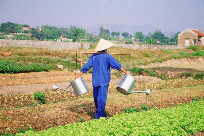Hoi An Countryside Tour By Scooter With Lady Bikers - Good To Know