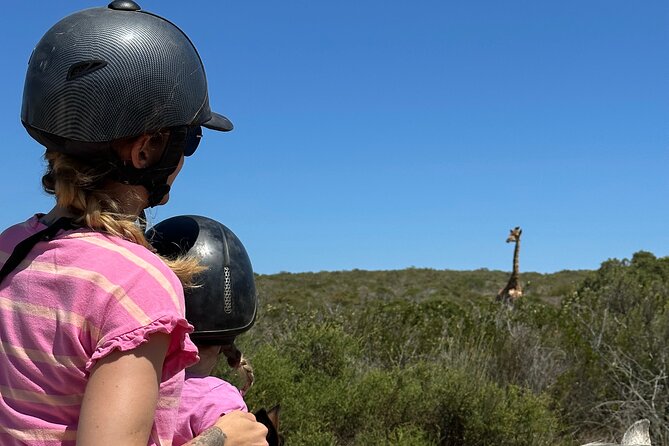 Horse Back Safari on the West Coast - Guided Tour and Horseback Riding