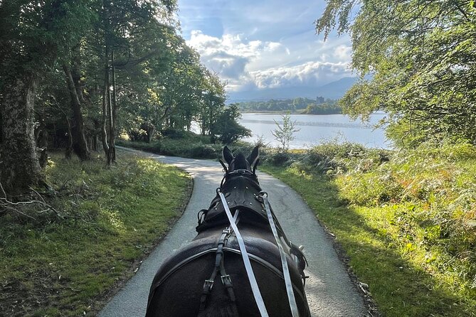 Horse-Drawn Carriage Tours in Killarney - Key Points