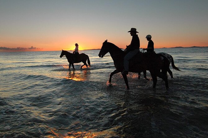 Horse Ride Trip , Bedouin Dinner And Show - Sharm El Sheikh - Good To Know