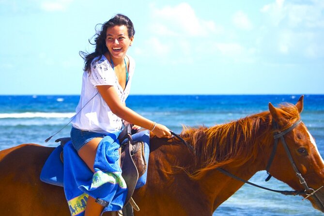 Horse Riding at Red Sea Desert and Sea From Sharm - Good To Know