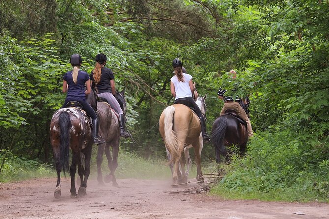 Horse Riding in Kusadasi - Good To Know
