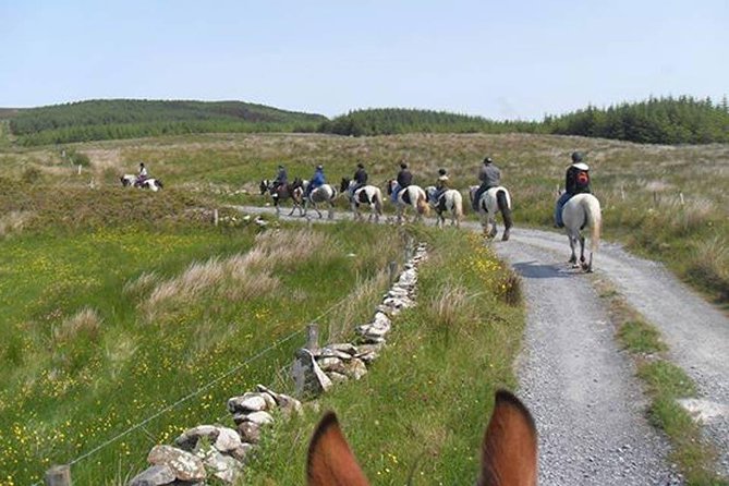 Horse Riding - Mountain Trail. Lisdoonvarna, Co Clare. Guided. 2 Hours. - Tour Overview