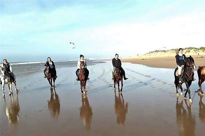 Horse Riding on the Beach of Essaouira 3 Hours - Good To Know