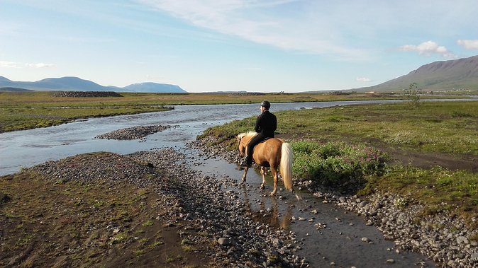 Horse Riding Tour to the Glacier River Delta With Waterfall - Good To Know
