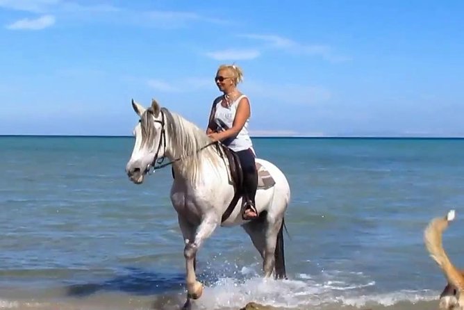 Horse Riding Tour Two Hours Sun & Sea With Transfer - Hurghada - Good To Know