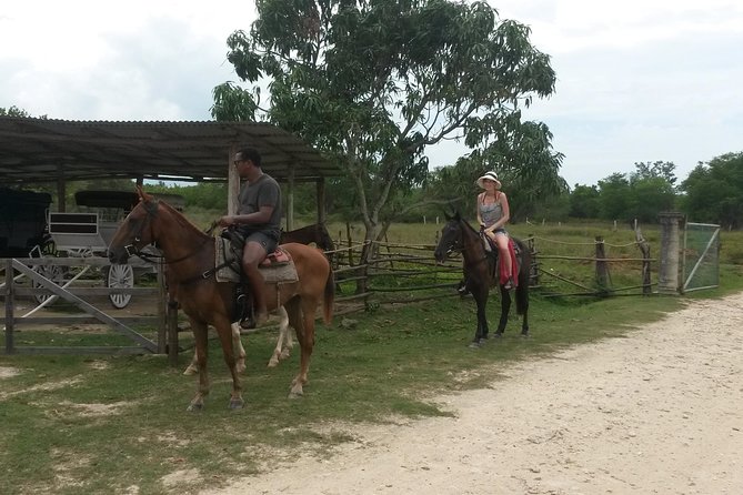 Horseback Ride and Mayfield Falls Combo From Negril - Good To Know
