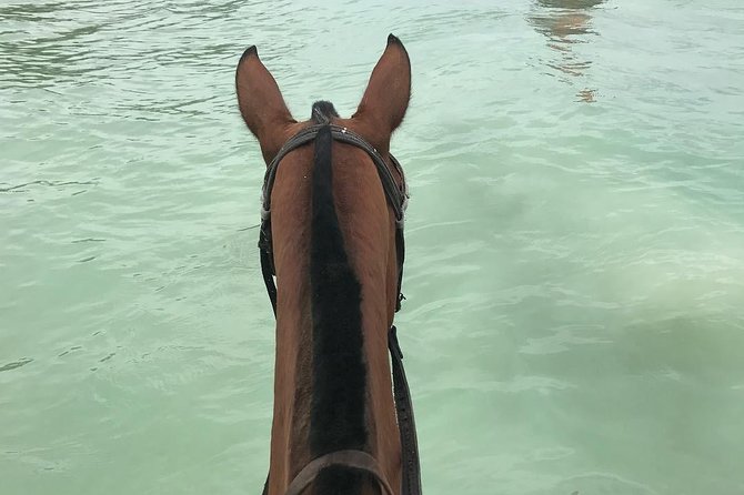 Horseback Ride and Swim From Ocho Rios - Overview of the Tour
