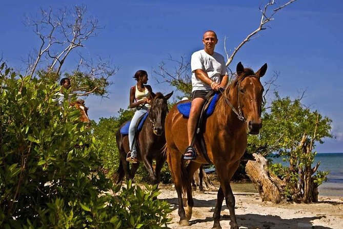 Horseback Ride and Swim Private Tour From Montego Bay