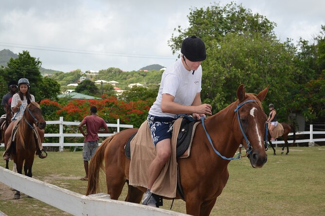 Horseback Riding and Beach BBQ in St Lucia - Overview of the Activity