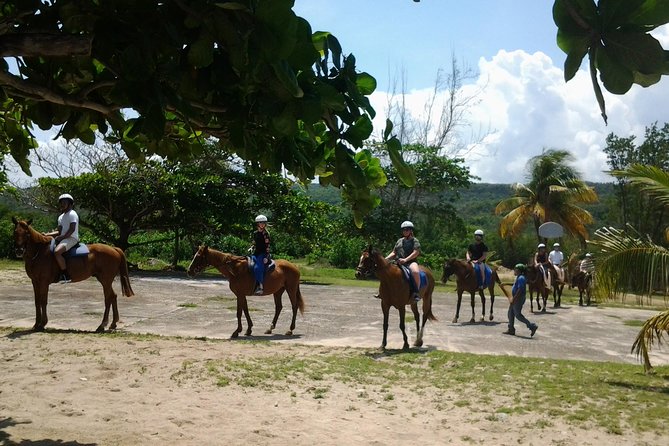 Horseback Riding and Swim From Montego Bay - Good To Know