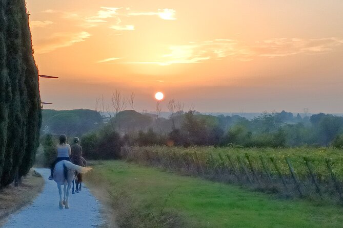 Horseback Riding at Sunset 1 Hour at the Certosa Di Pisa