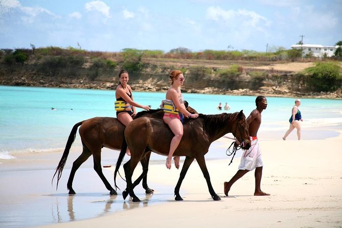 Horseback Riding, ATV & Blue Hole (Land & Sea) From Falmouth - Good To Know