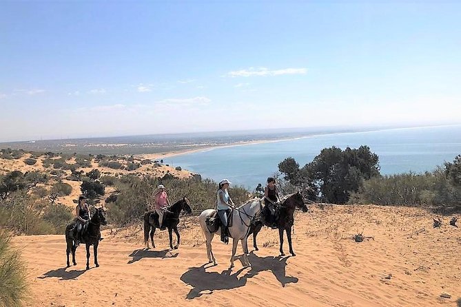 Horseback Riding Half Day With Picnic - Good To Know