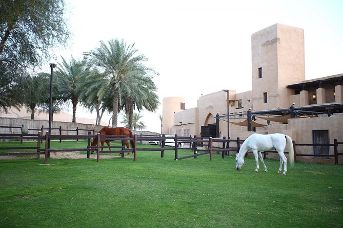 Horseback Riding in Dubai Desert With Transfers - Good To Know