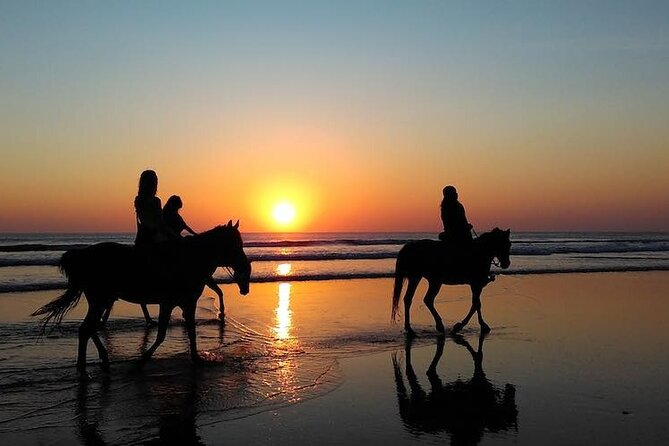Horseback Riding in the Sunset of Famara Beach, Lanzarote, Spain - Good To Know