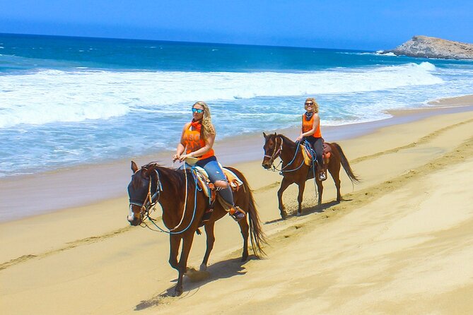 Horseback Riding Tour Los Cabos - Key Points